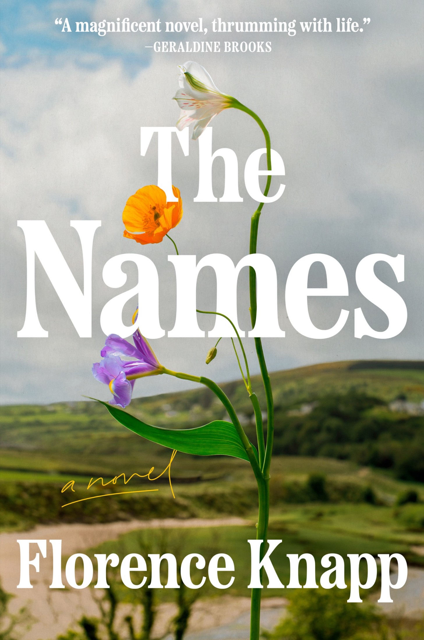 The Names: A Novel