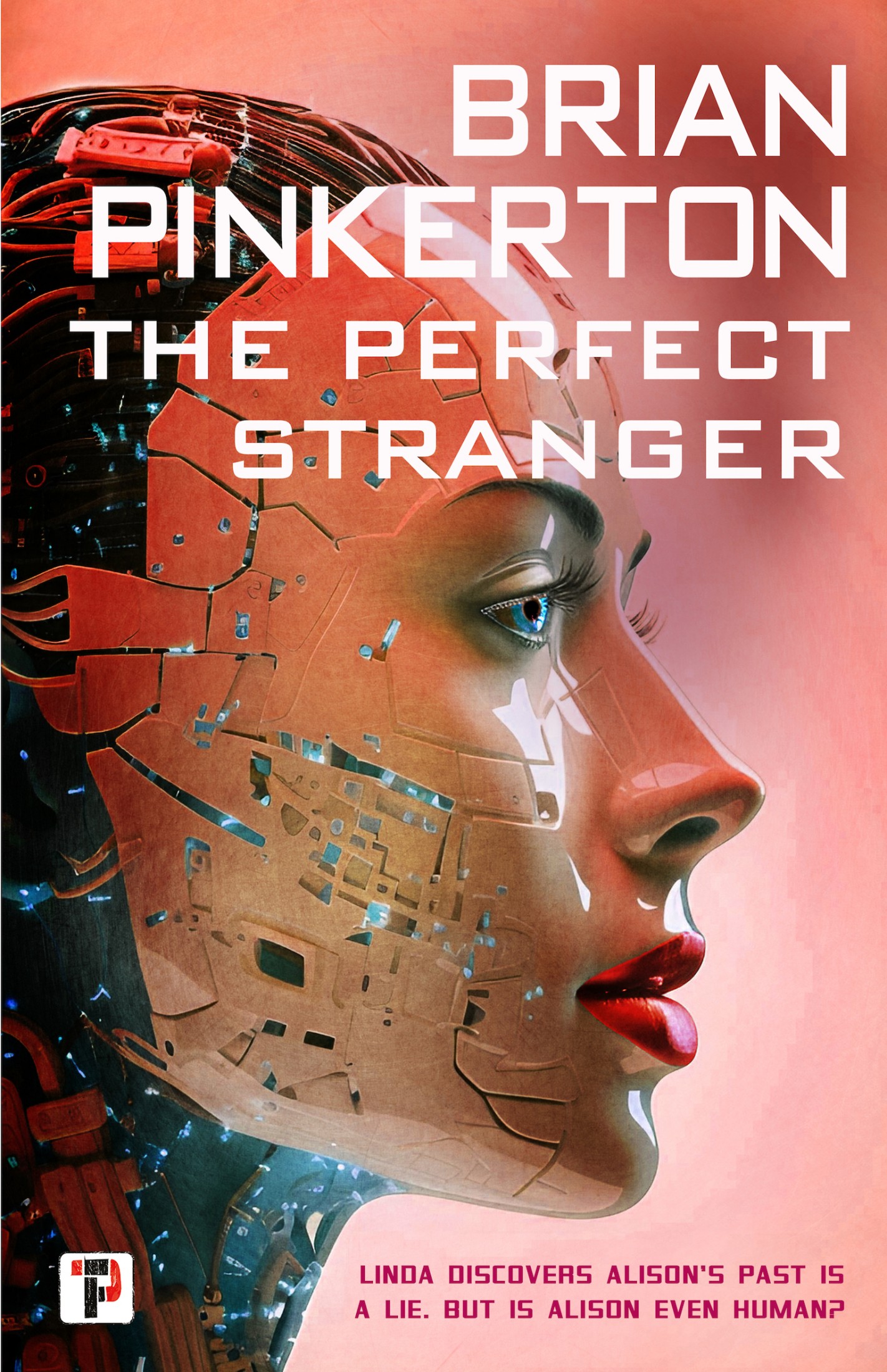 The Perfect Stranger by Brian Pinkerton