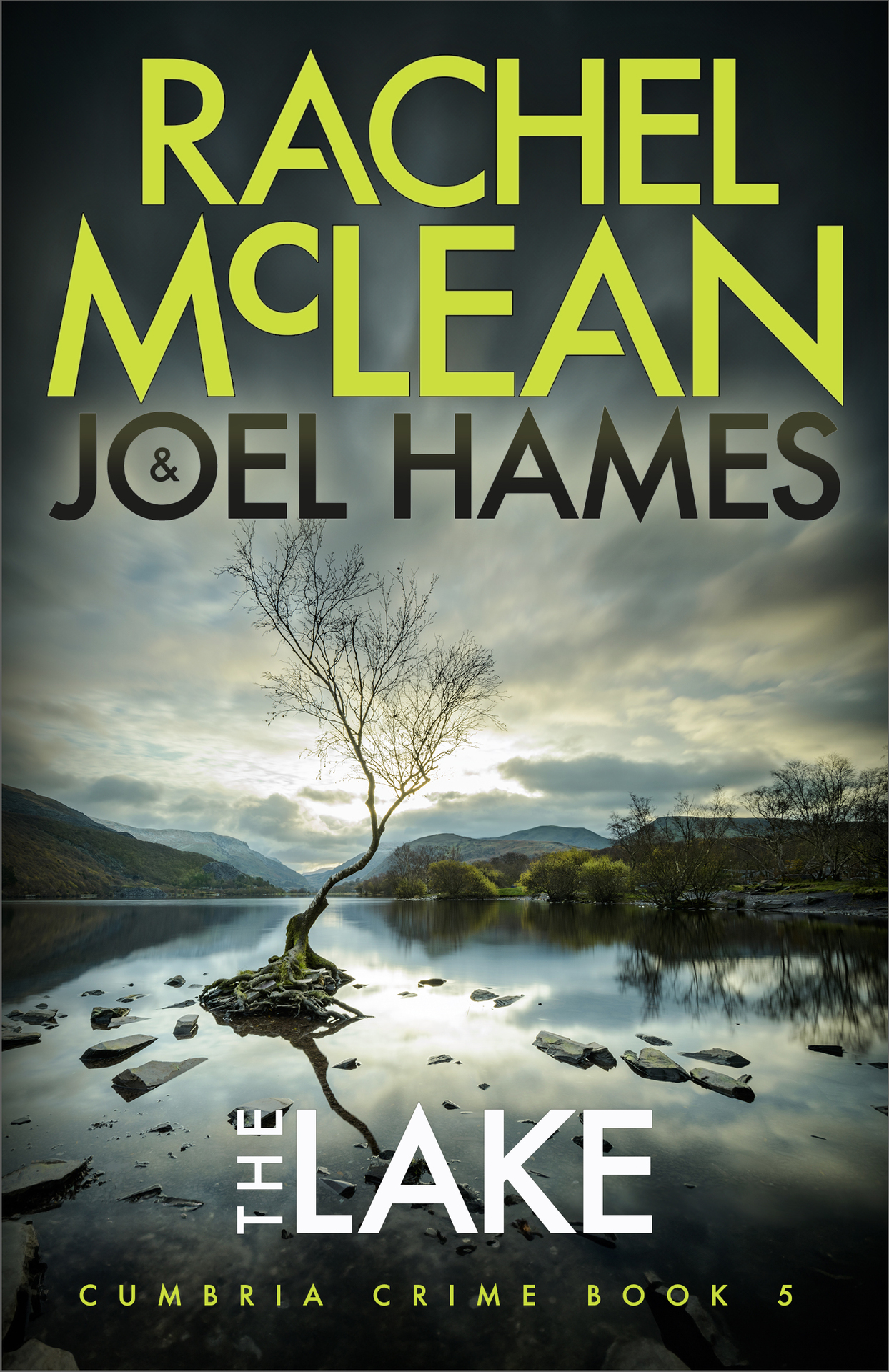 The Lake (Cumbria Crime Book 5)