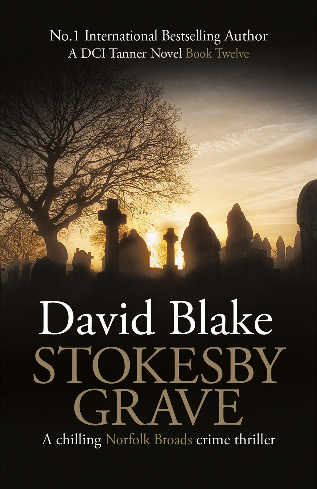 Stokesby Grave: A chilling Norfolk Broads crime thriller (DI Tanner Norfolk Broads Murder Mystery Series Book 12)