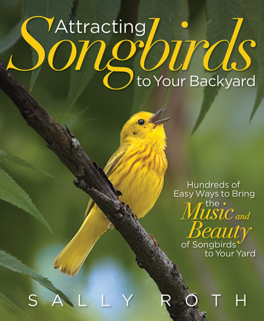 Attracting Songbirds to Your Backyard