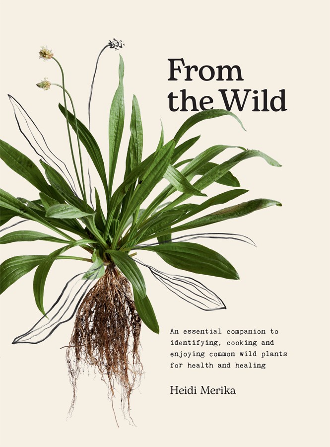 From the Wild: An Essential Companion to Identifying, Cooking and Enjoying Common Wild Plants for Health and Healing