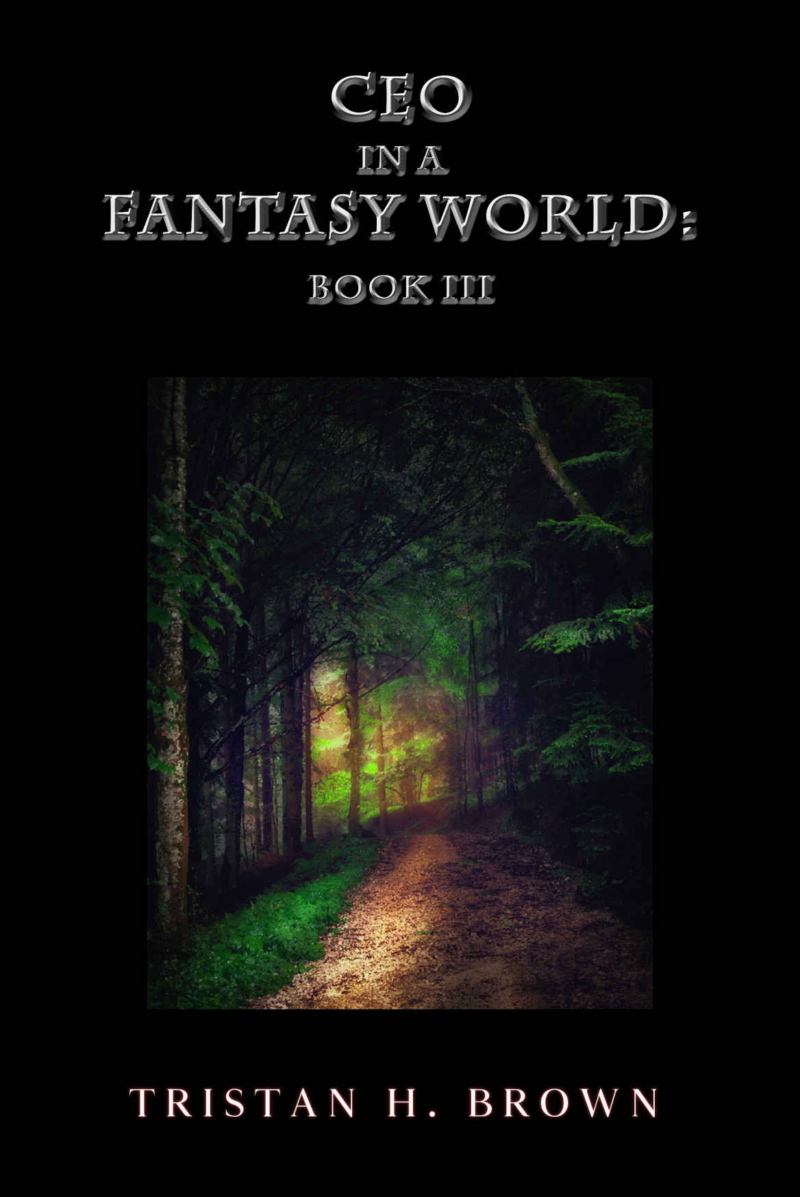 CEO in a Fantasy World: Book 3