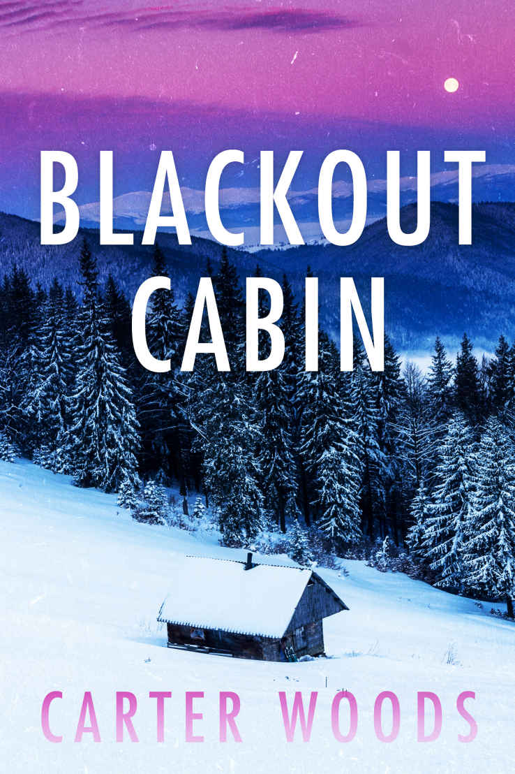 Blackout Cabin: A Small Town Post Apocalypse EMP Thriller