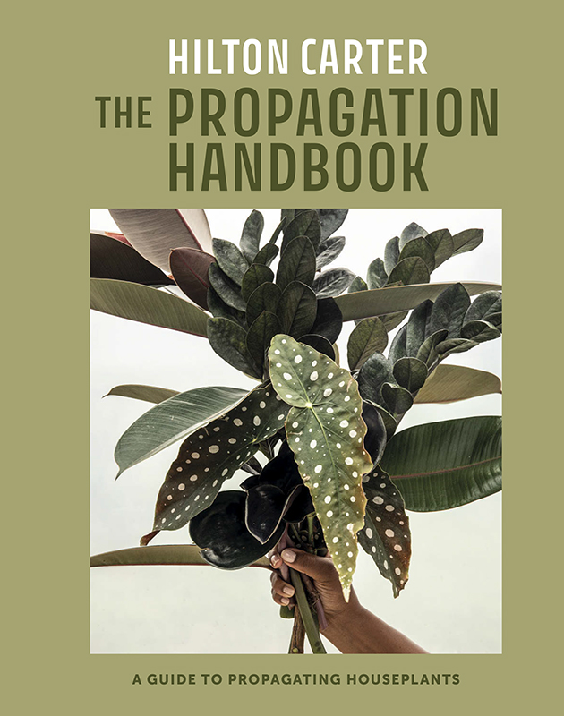 The Propagation Handbook: A guide to propagating houseplants