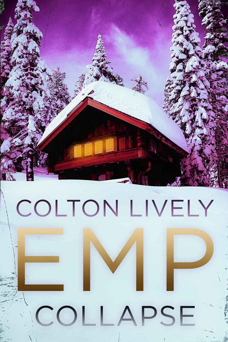 EMP Collapse: A Small Town Post Apocalypse EMP Thriller