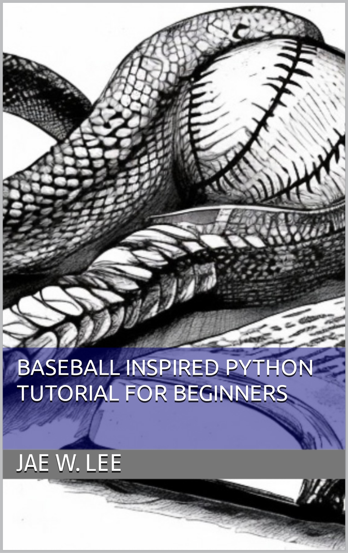 Baseball Inspired Python Tutorial for Beginners