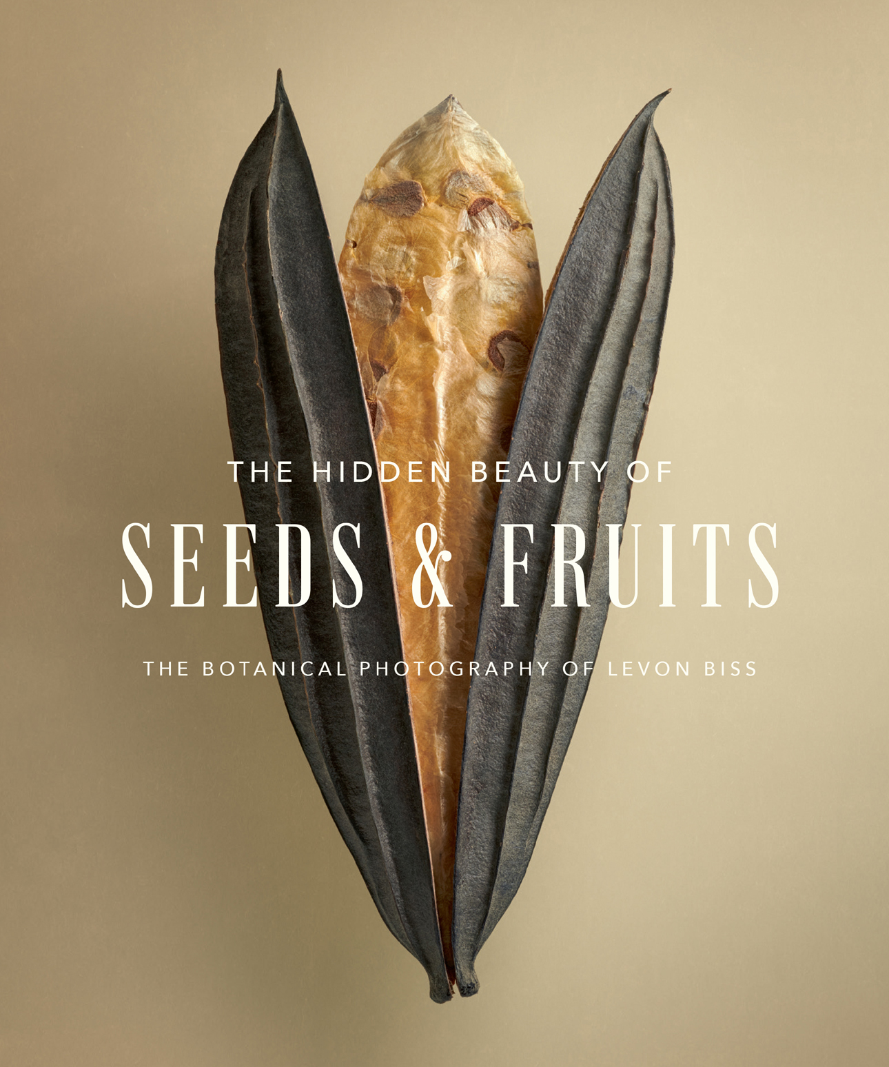 The Hidden Beauty of Seeds & Fruits: The Botanical Photography of Levon Biss