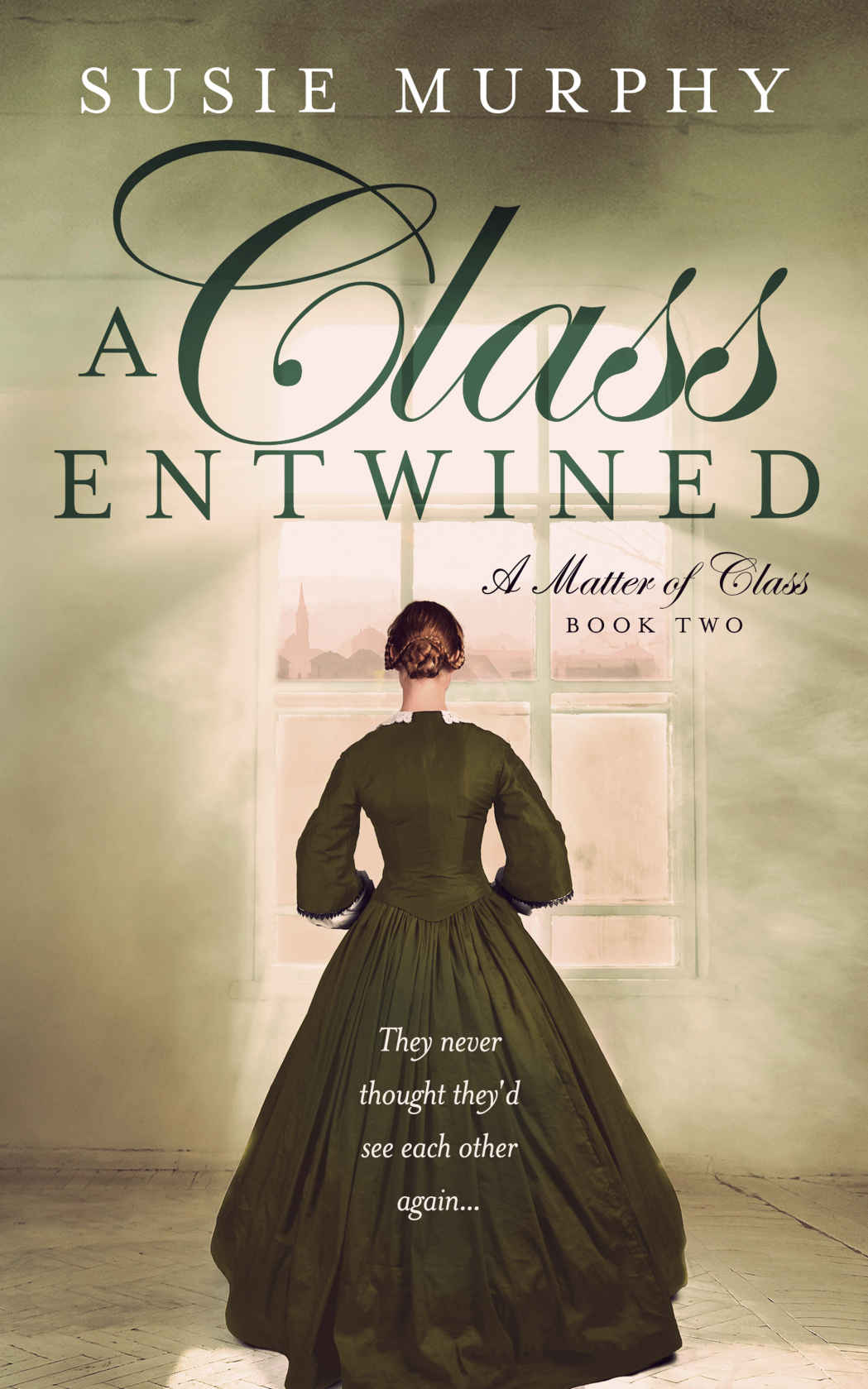 A Class Entwined: A sweeping Irish historical romance saga (A Matter of Class Book 2)