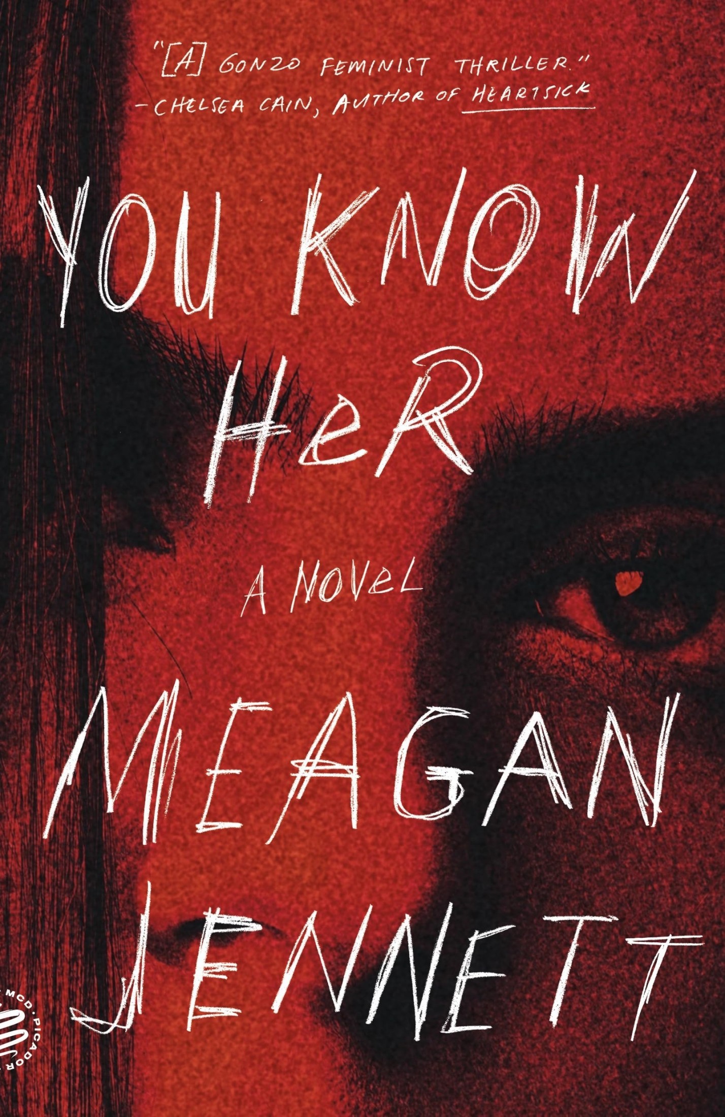 You Know Her: A Novel