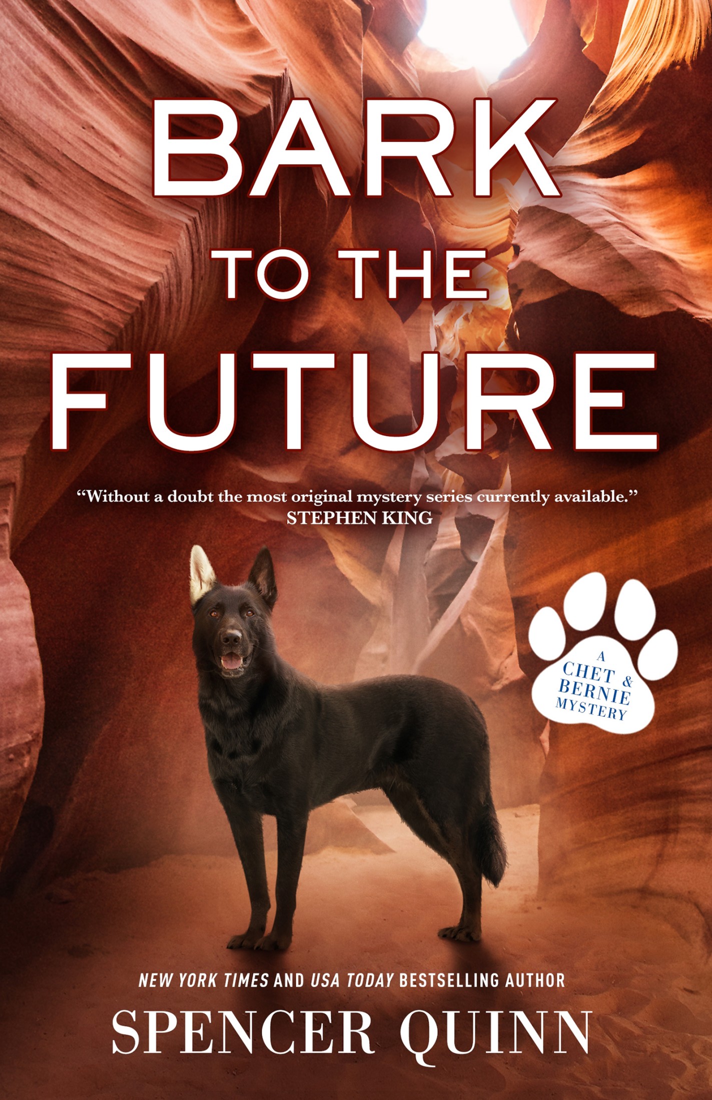 Bark to the Future--A Chet & Bernie Mystery