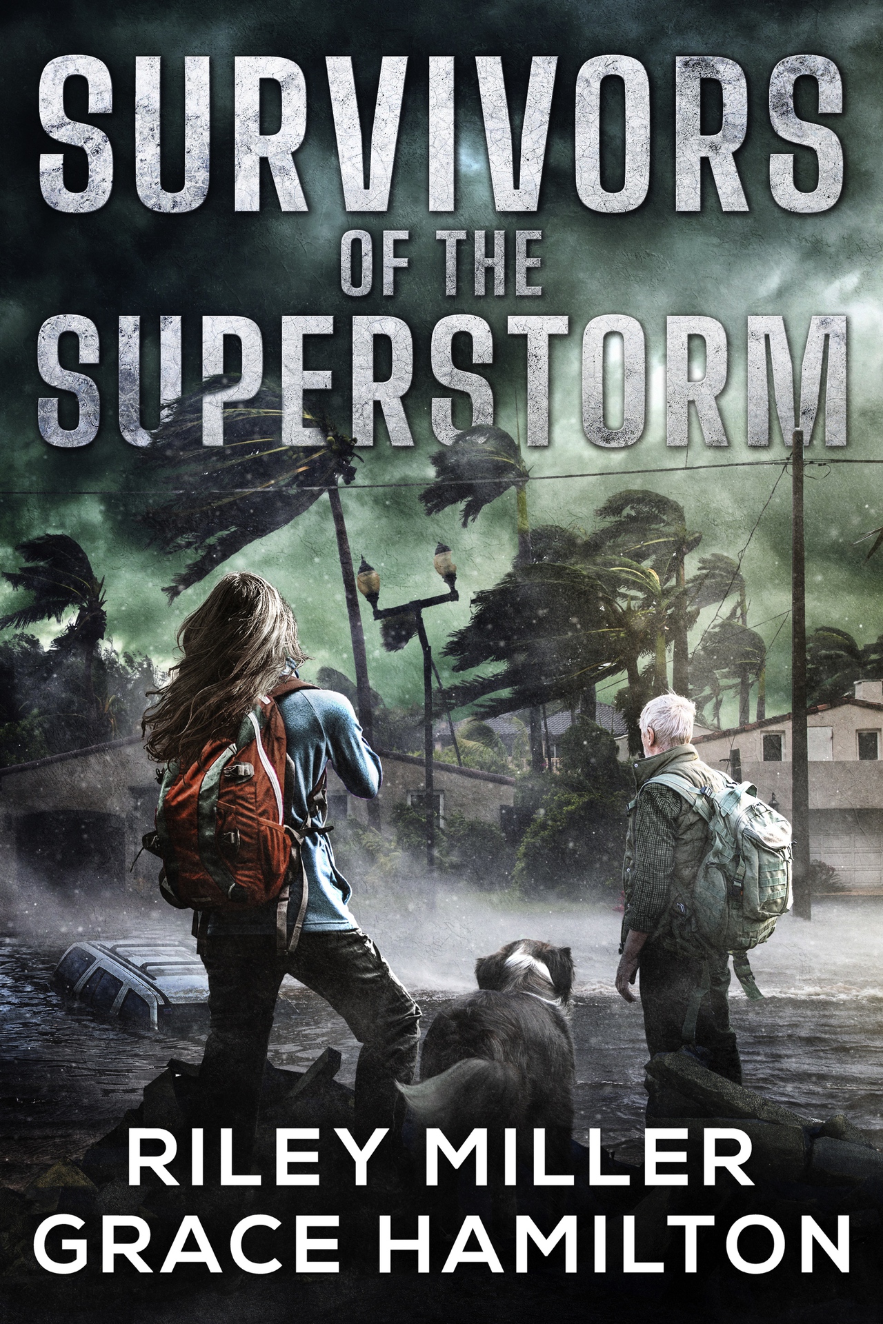 Survivors of the Superstorm: Huge Post-Apocalyptic Disaster Saga with 1000+ Pages of an American Family Surviving a World-Changing Storm
