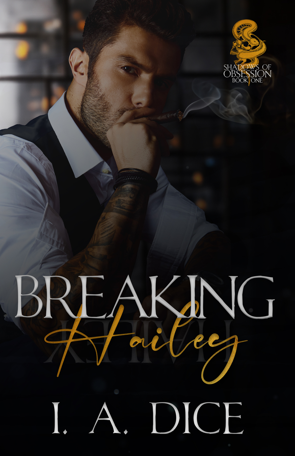 Breaking Hailey (Shadows of Obsession Book 1)