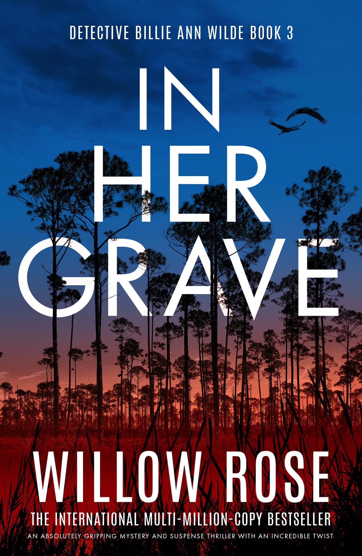 In Her Grave: An absolutely gripping mystery and suspense thriller with an incredible twist (Detective Billie Ann Wilde Book 3)