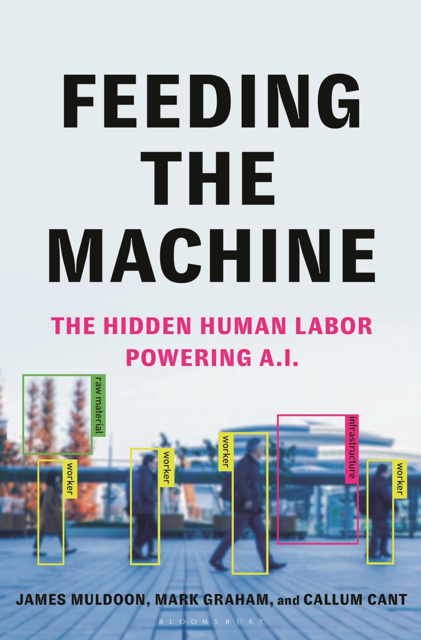 Feeding the Machine: The Hidden Human Labour Powering AI