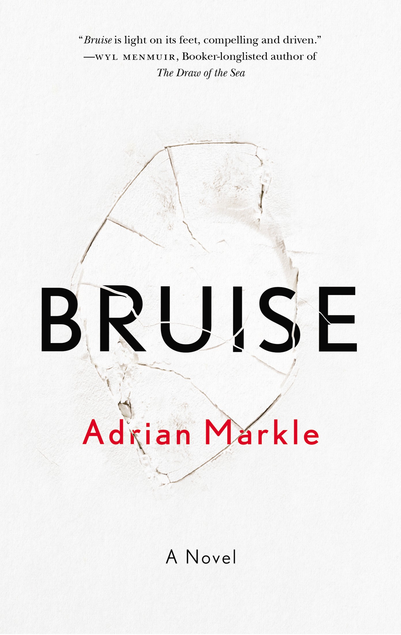 Bruise: A Novel