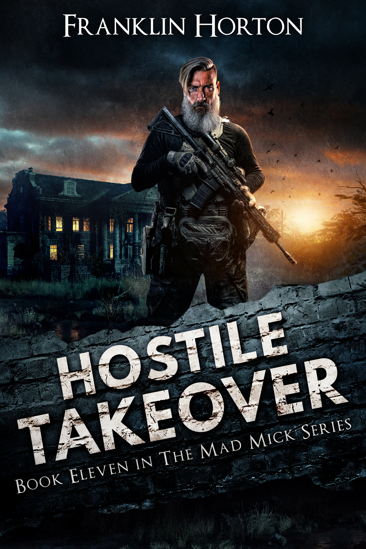 Hostile Takeover: Book Eleven in The Mad Mick Series