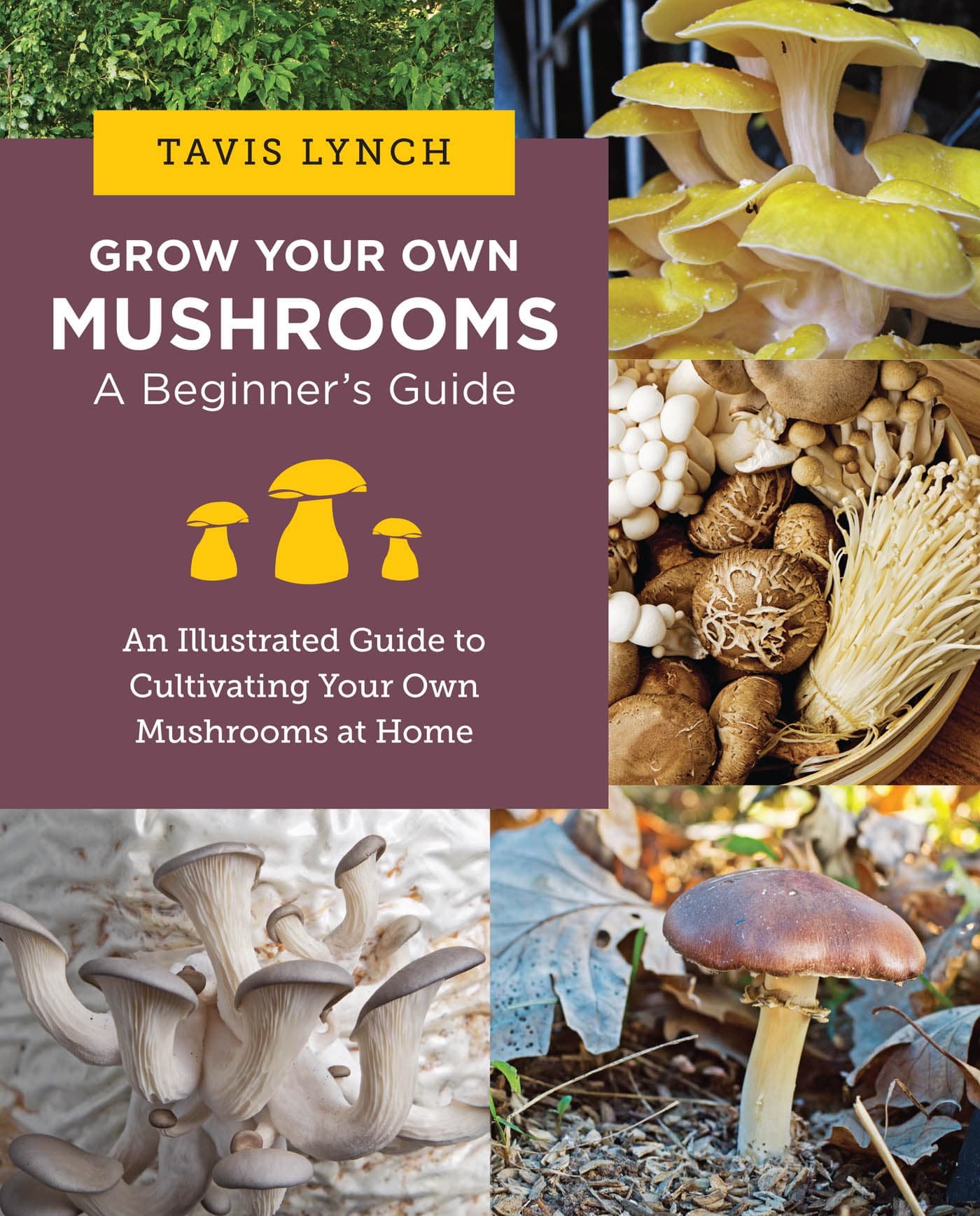 Grow Your Own Mushrooms