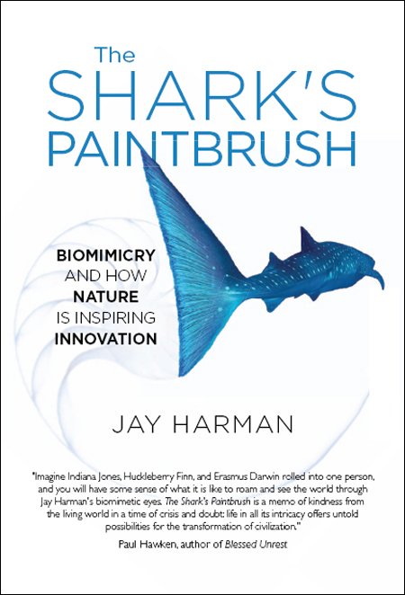 The Shark's Paintbrush: Biomimicry and How Nature Is Inspiring Innovation