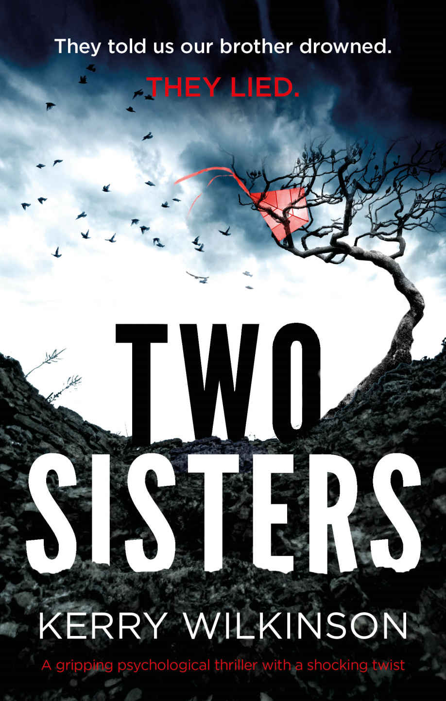 Two Sisters: A gripping psychological thriller with a shocking twist