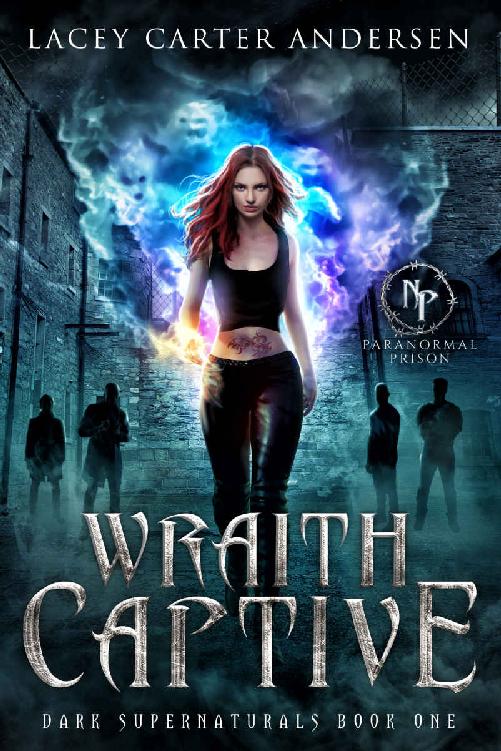 Wraith Captive: A Reverse Harem Romance (Paranormal Prison)