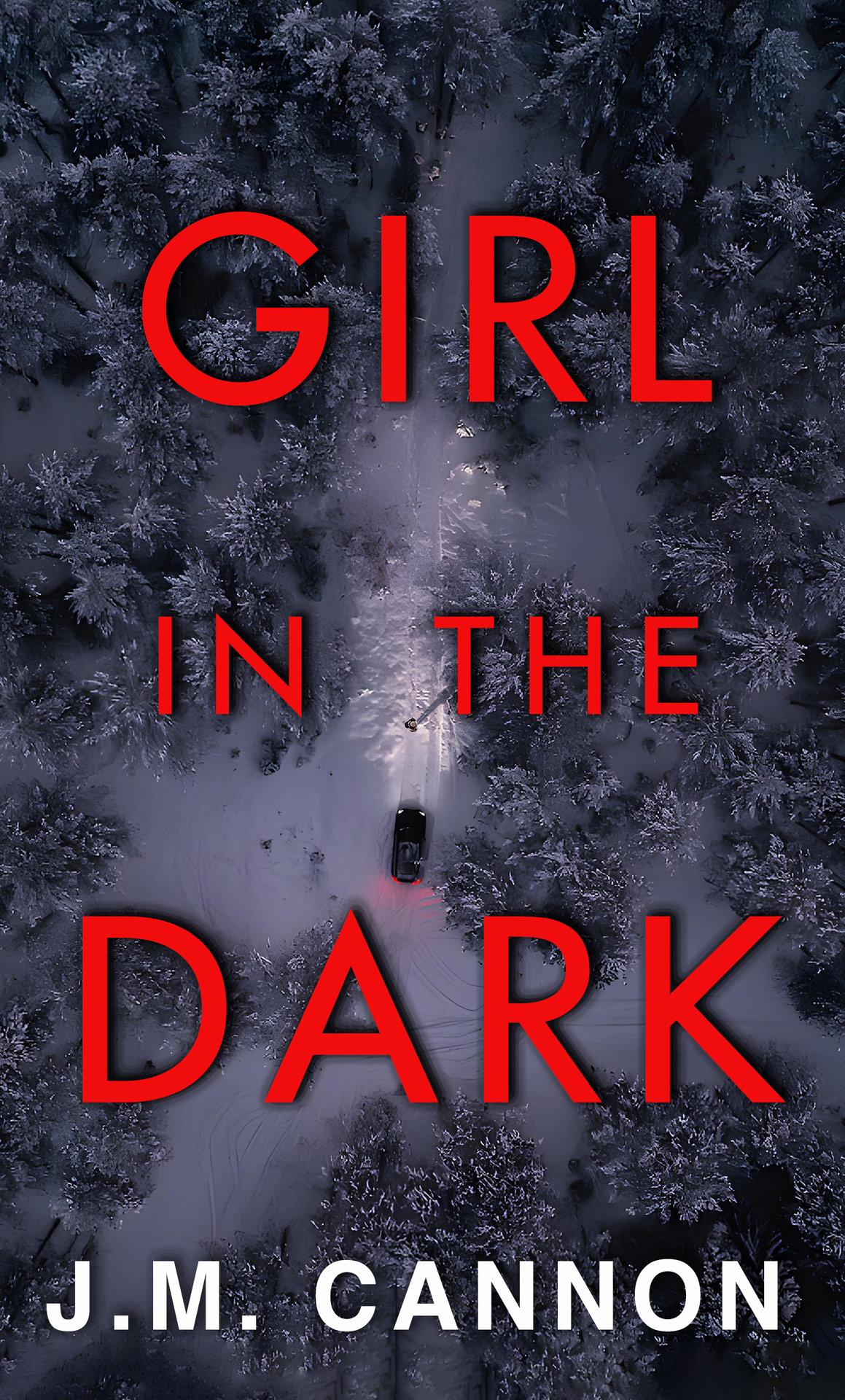 Girl in the Dark