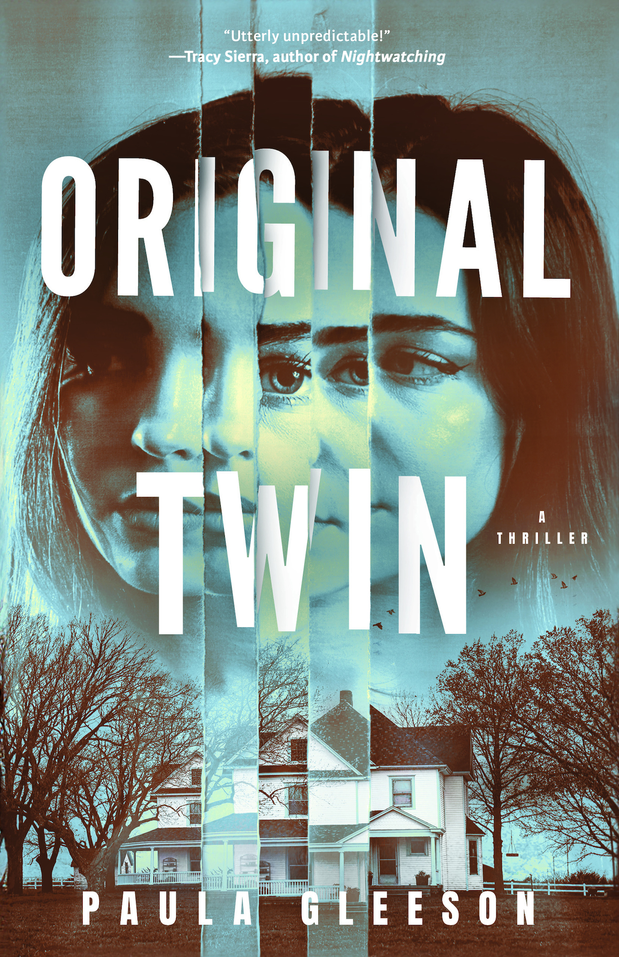 Original Twin: A Thriller