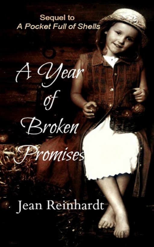 A Year of Broken Promises (Book 2--An Irish Family Saga)