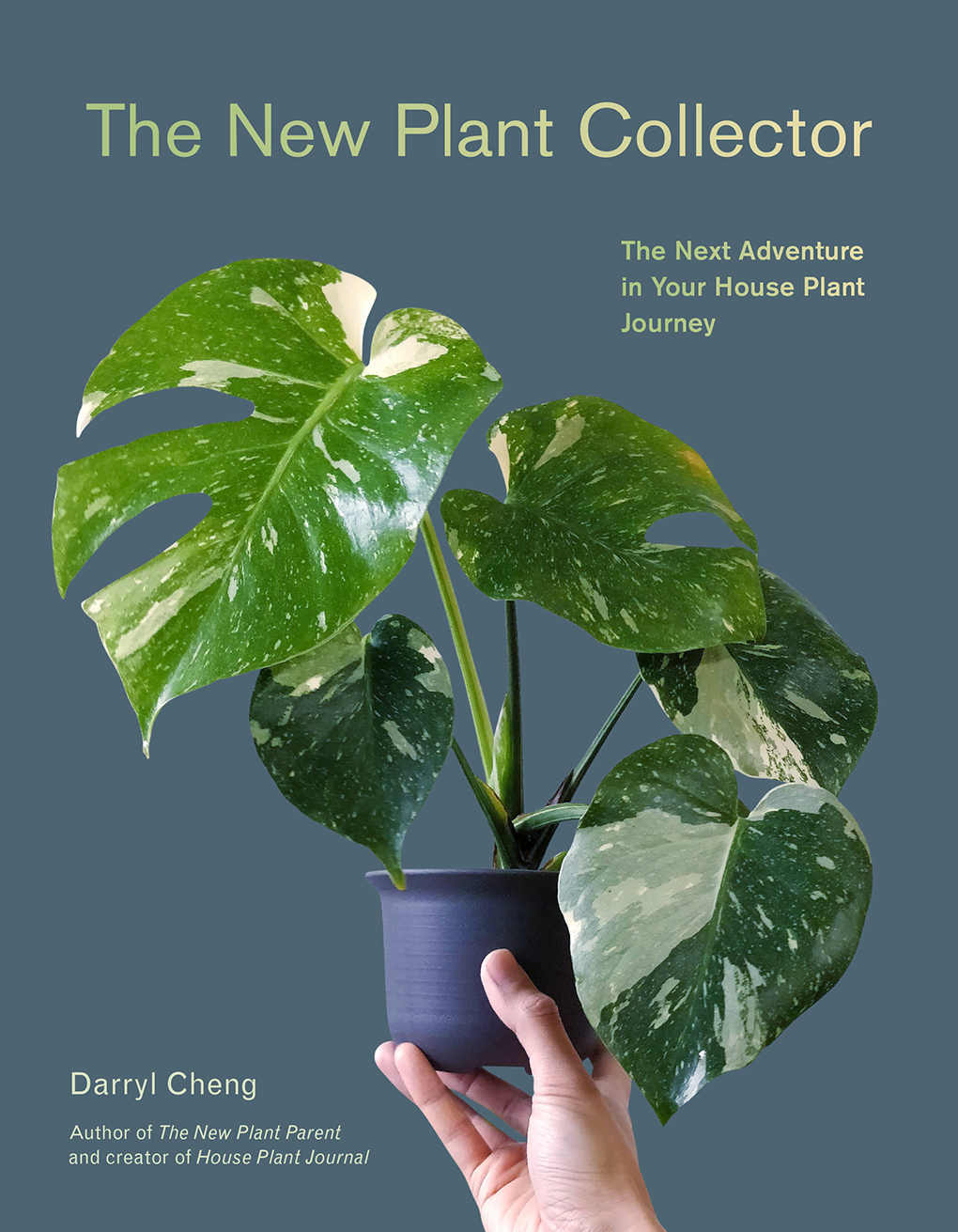 The New Plant Collector: The Next Adventure in Your House Plant Journey