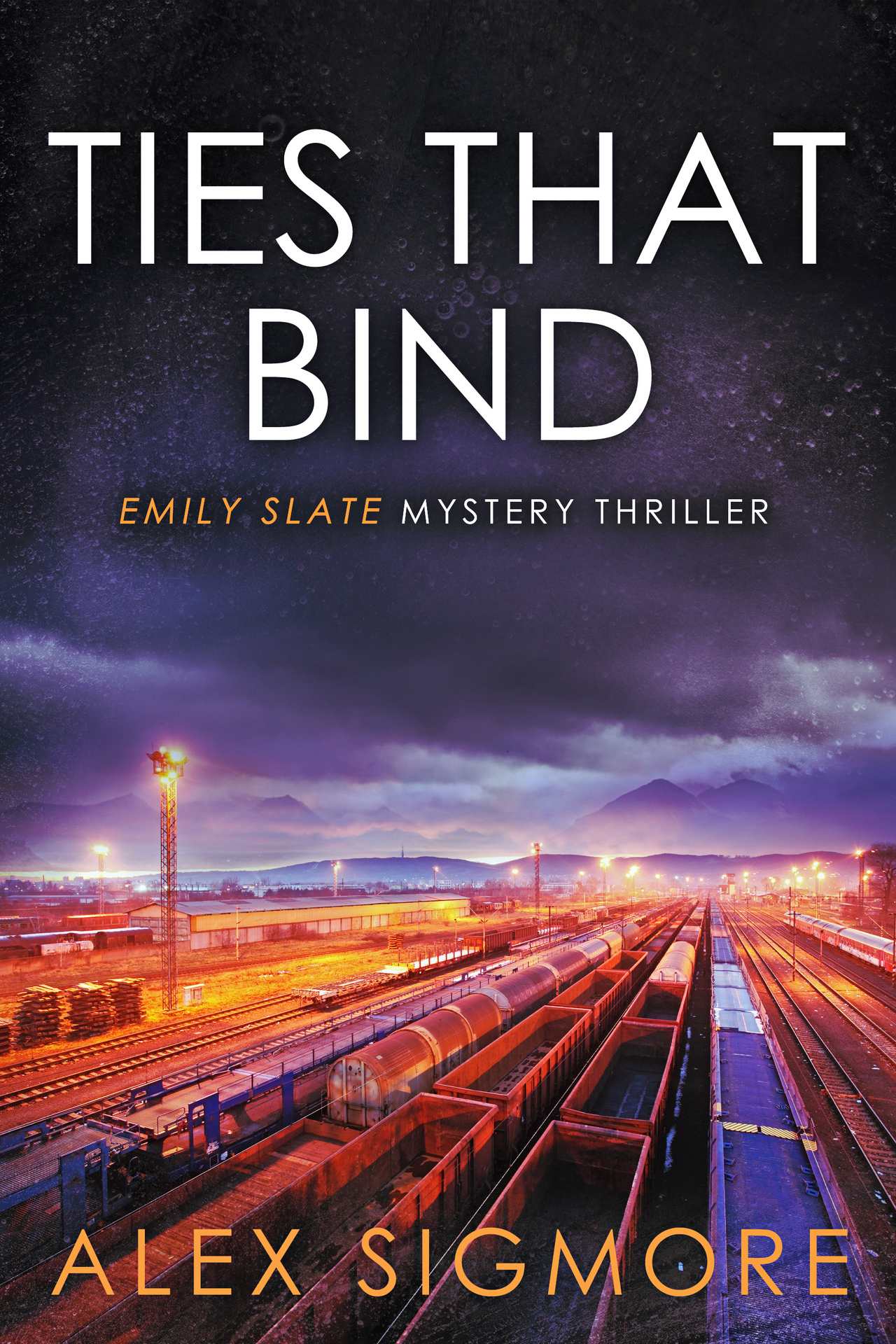Ties That Bind (Emily Slate FBI Mystery Thriller Book 13)