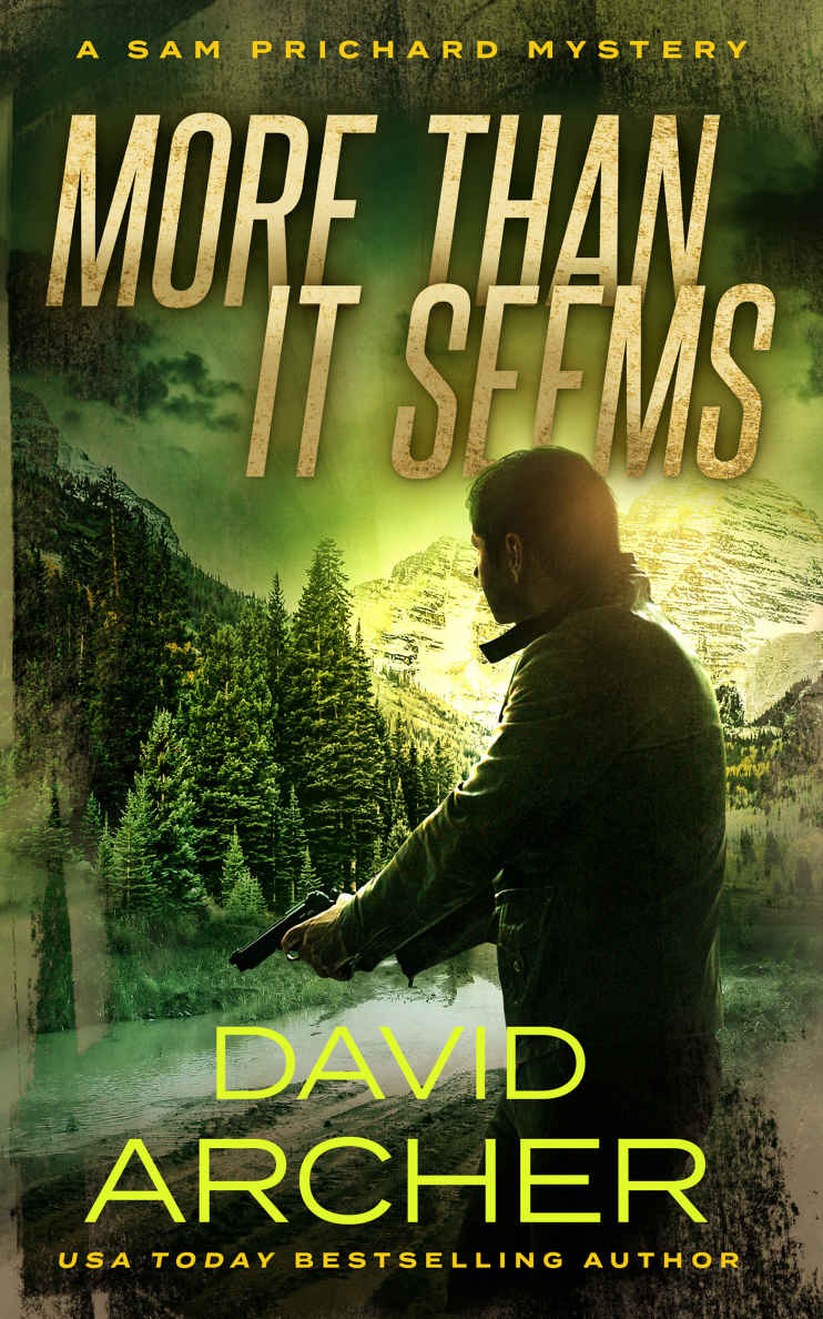 More Than It Seems - A Sam Prichard Mystery
