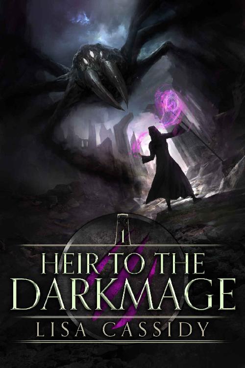 Heir to the Darkmage