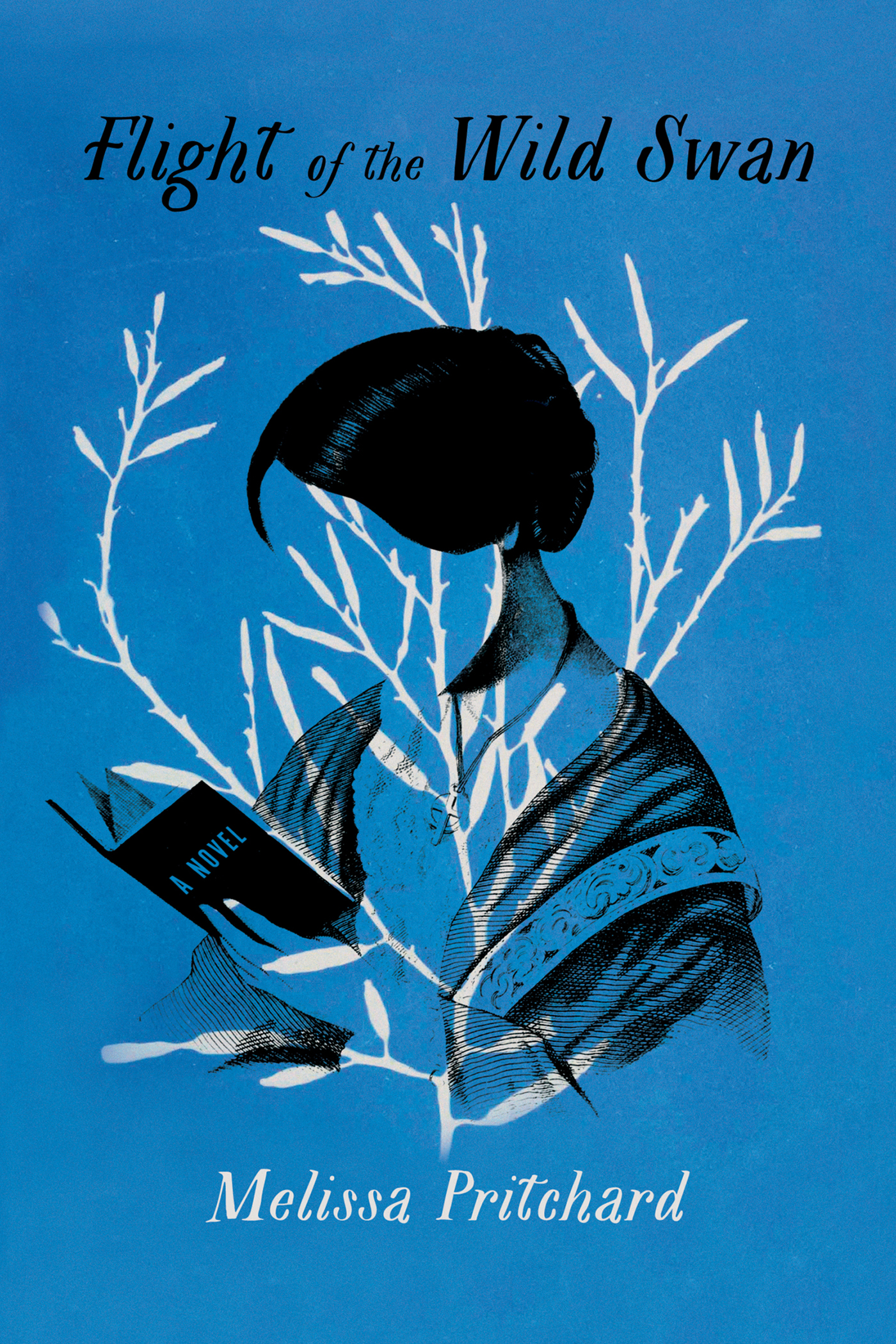 Flight of the Wild Swan