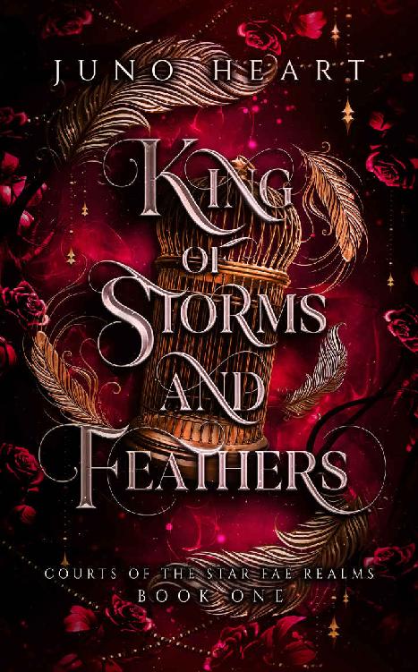 King of Storms and Feathers (Courts of the Star Fae Realms Book 1)