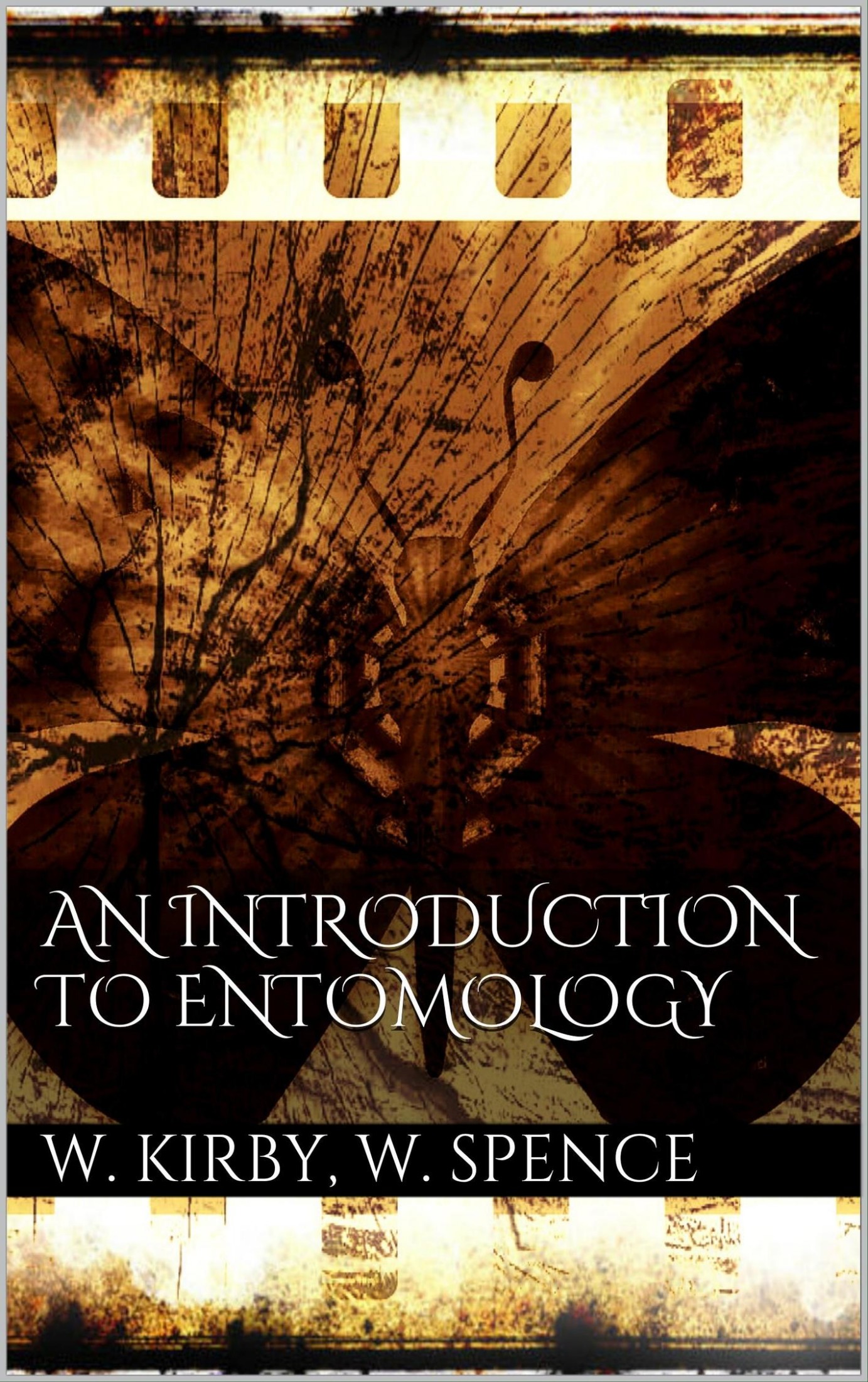 An Introduction to Entomology