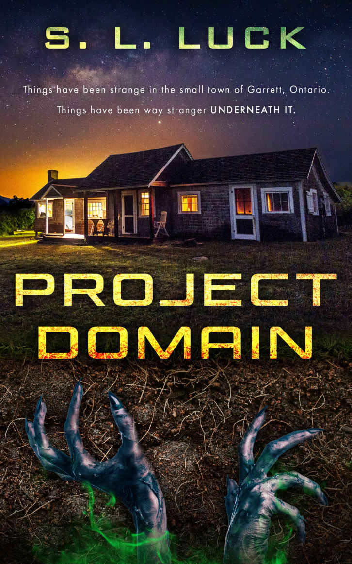Project Domain
