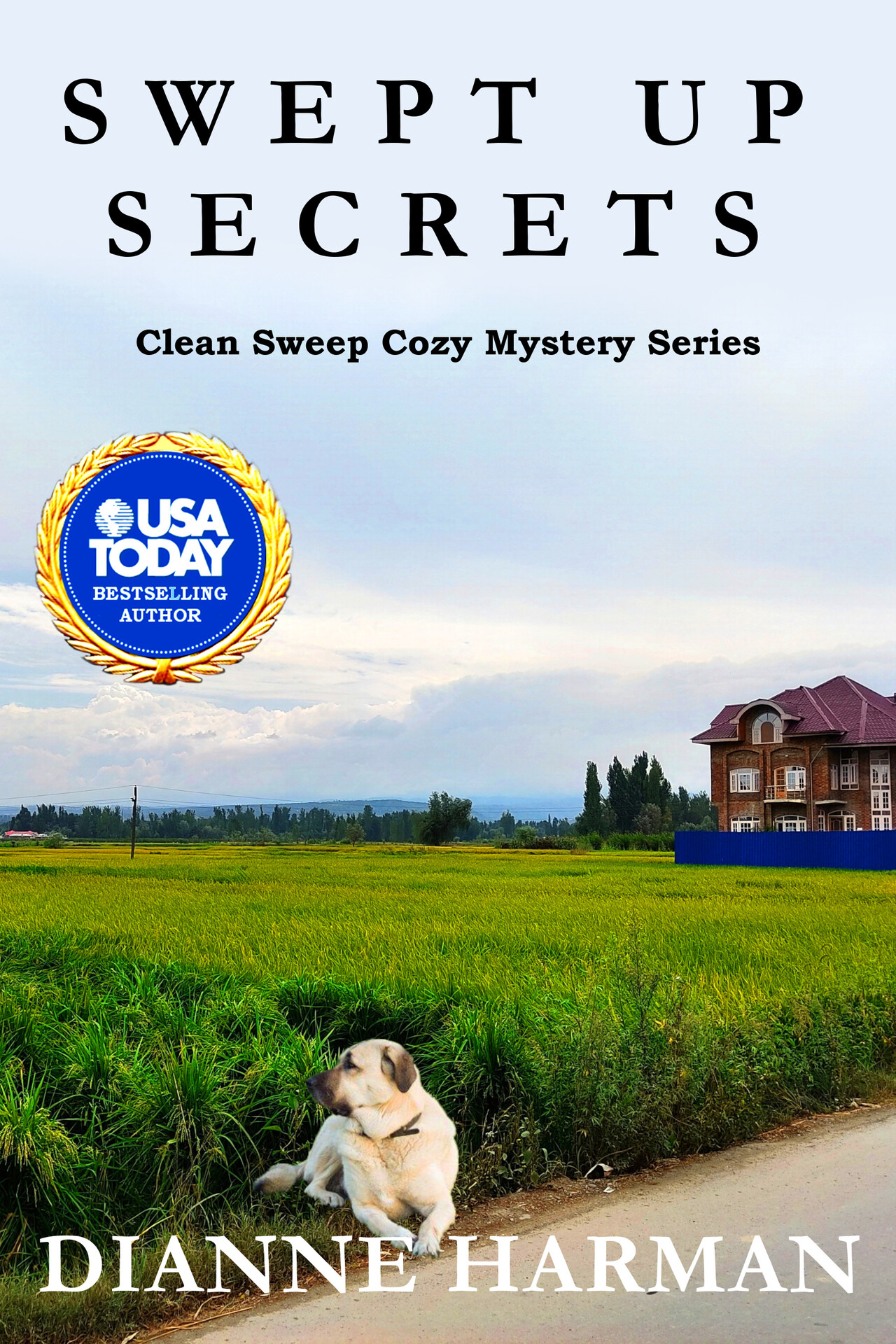 Swept Up Secrets: Clean Sweep Cozy Mystery Series (Clean Sweep Cozy Mysteries Book 5)