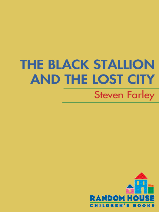 The Black Stallion and the Lost City