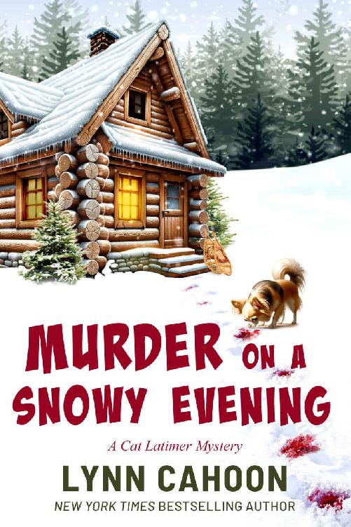 Murder On A Snowy Evening: A Cat Latimer Mystery