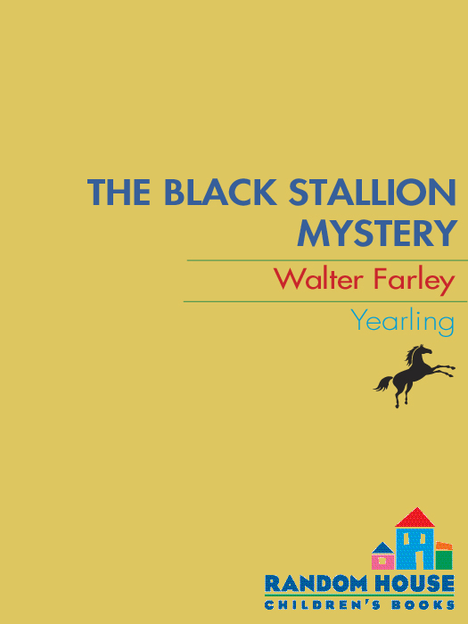 The Black Stallion Mystery