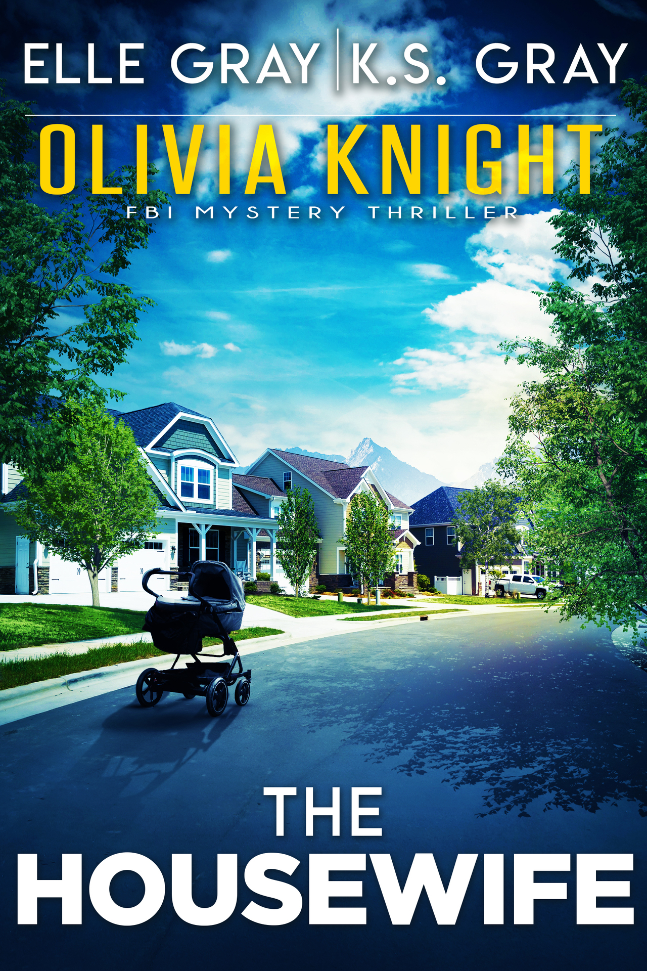 The Housewife (Olivia Knight FBI Mystery Thriller Book 12)
