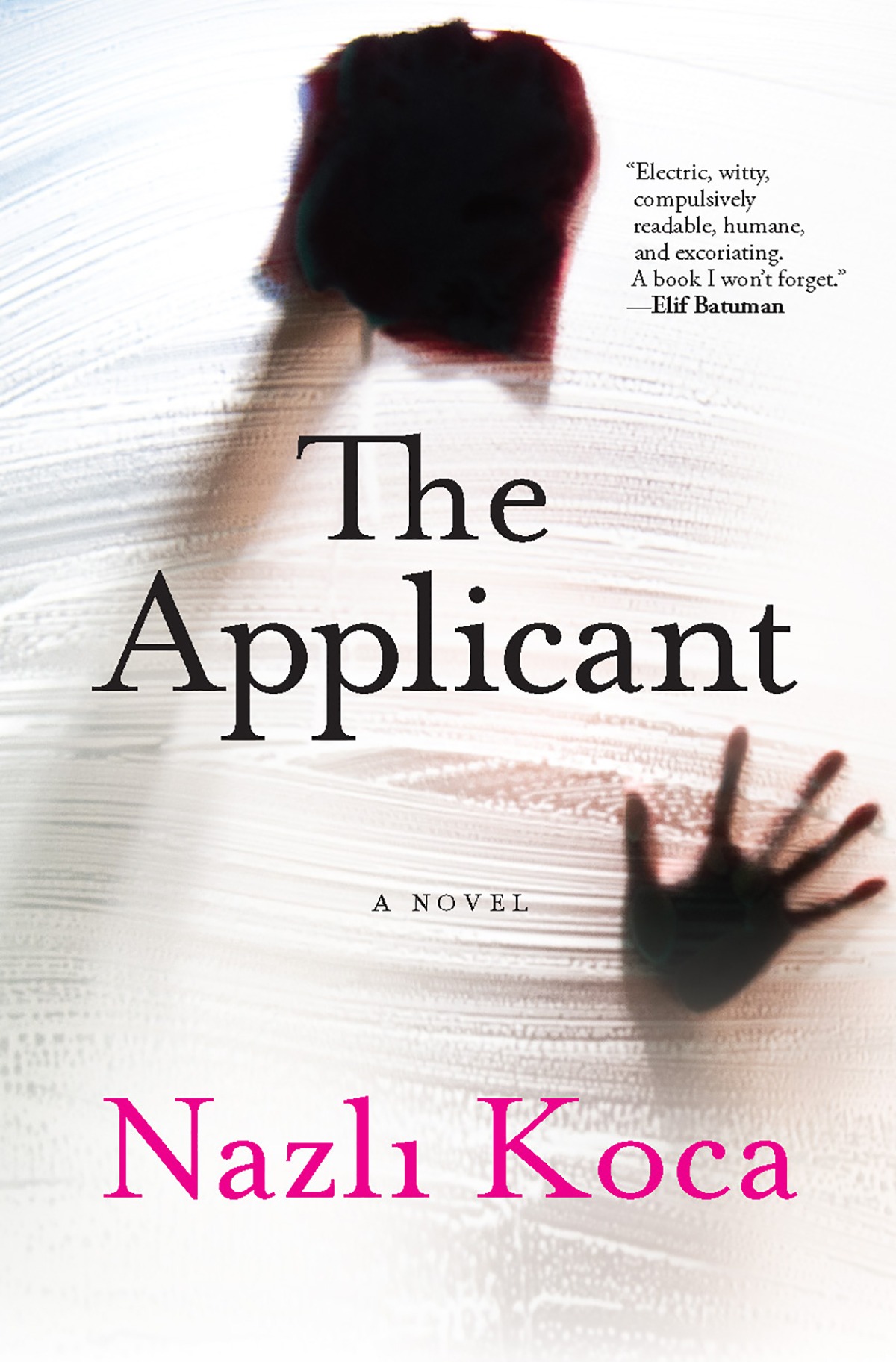 The Applicant