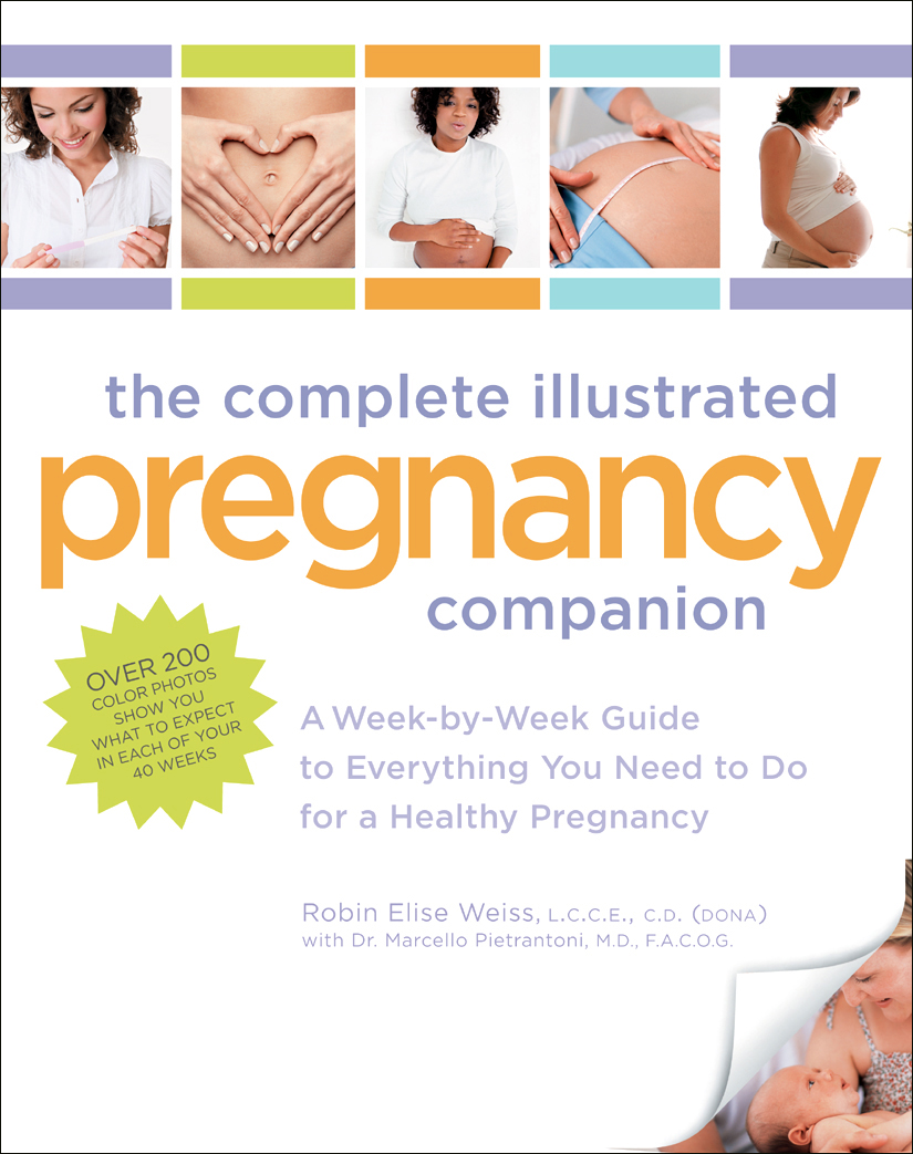 The Complete Illustrated Pregnancy Companion