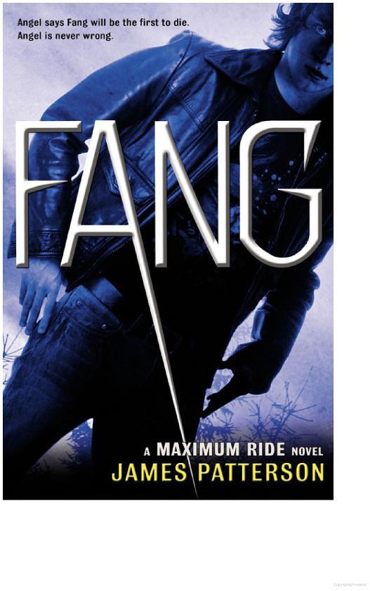 Maximum Ride 6 - Fang