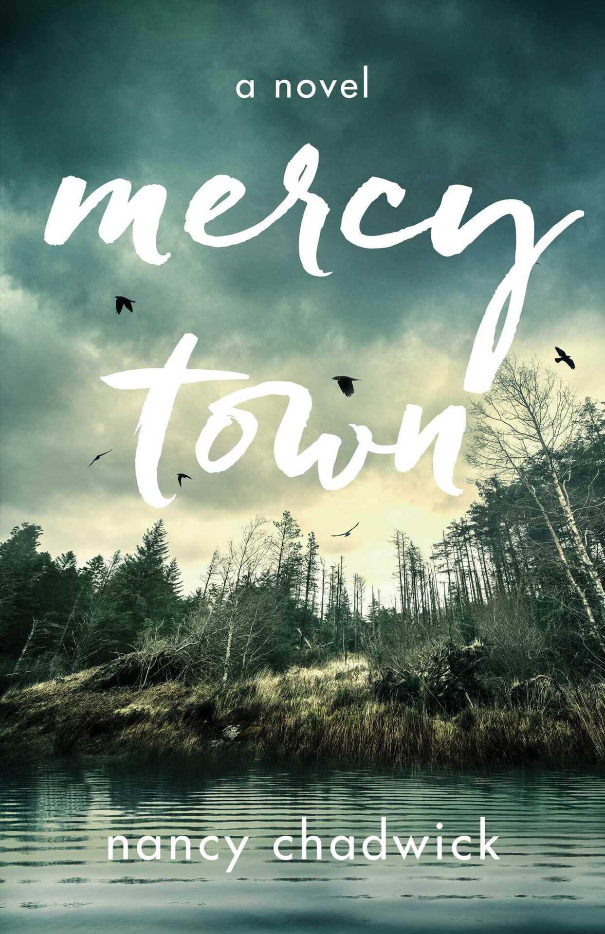 Mercy Town: A Novel