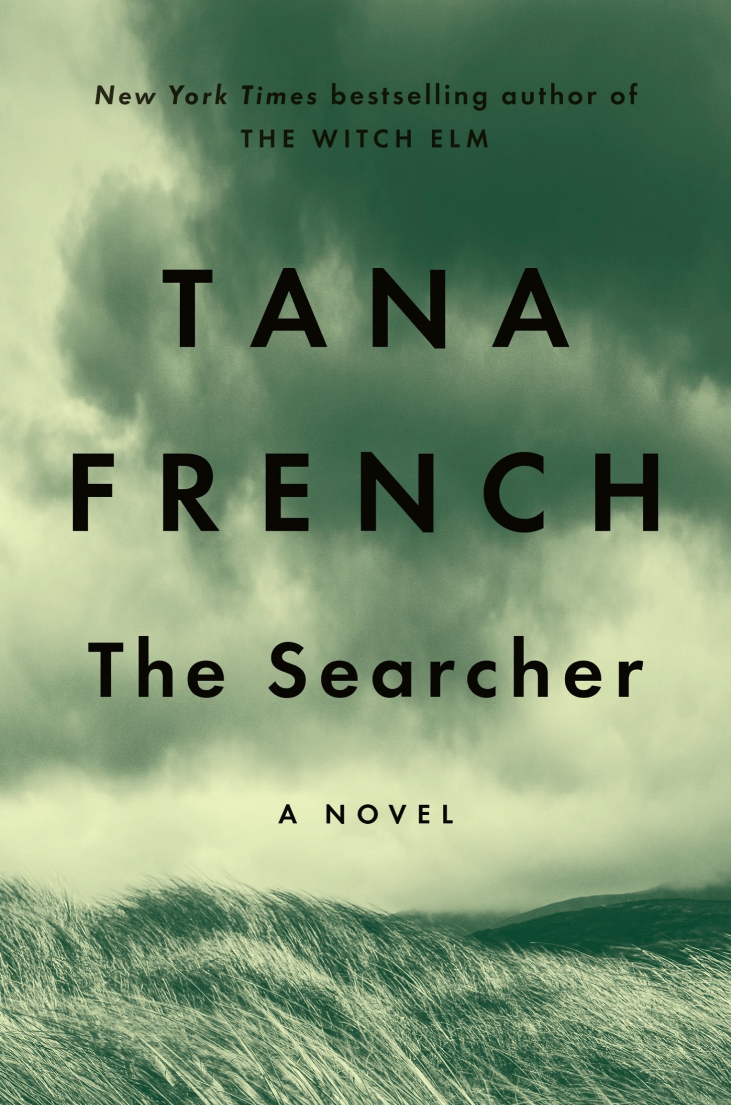 The Searcher: A Novel: A Novel