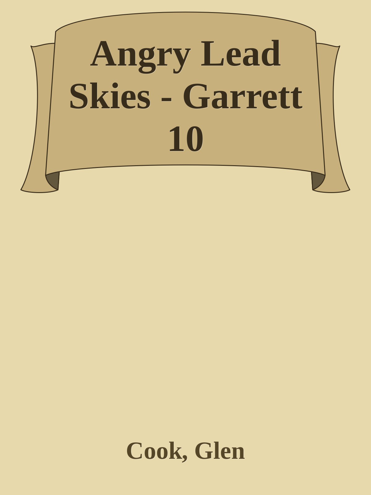 Angry Lead Skies - Garrett 10