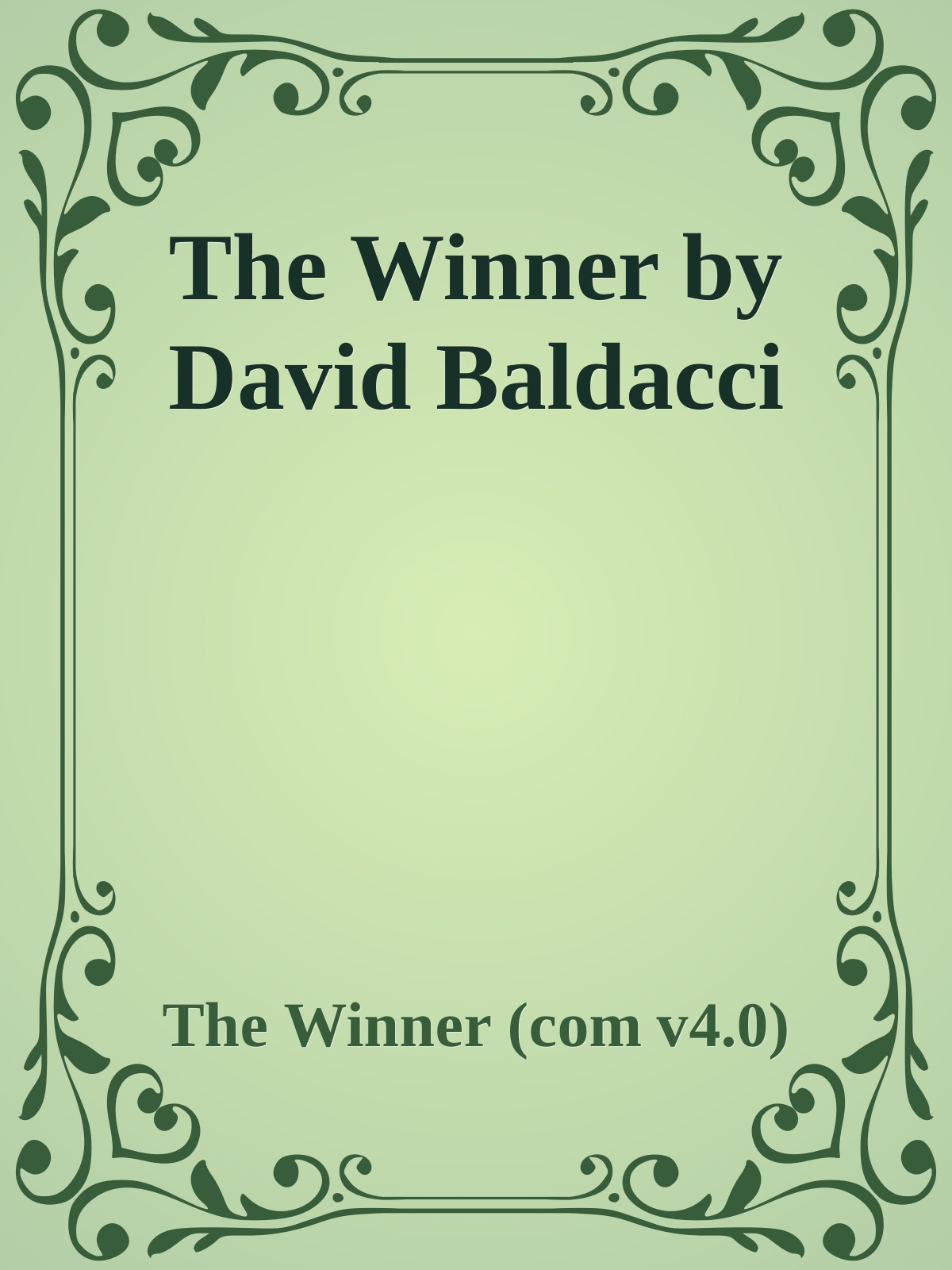 The Winner by David Baldacci