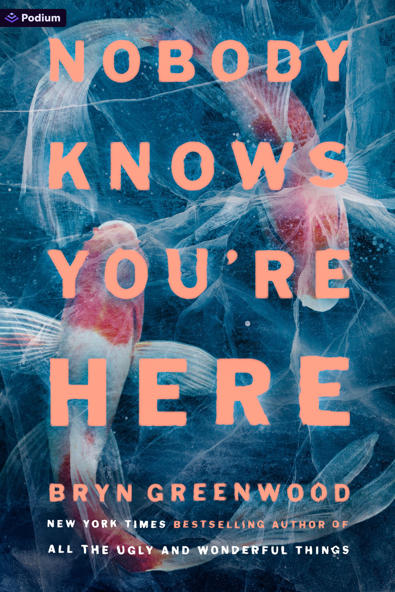 Nobody Knows You're Here: A Psychological Suspense Thriller