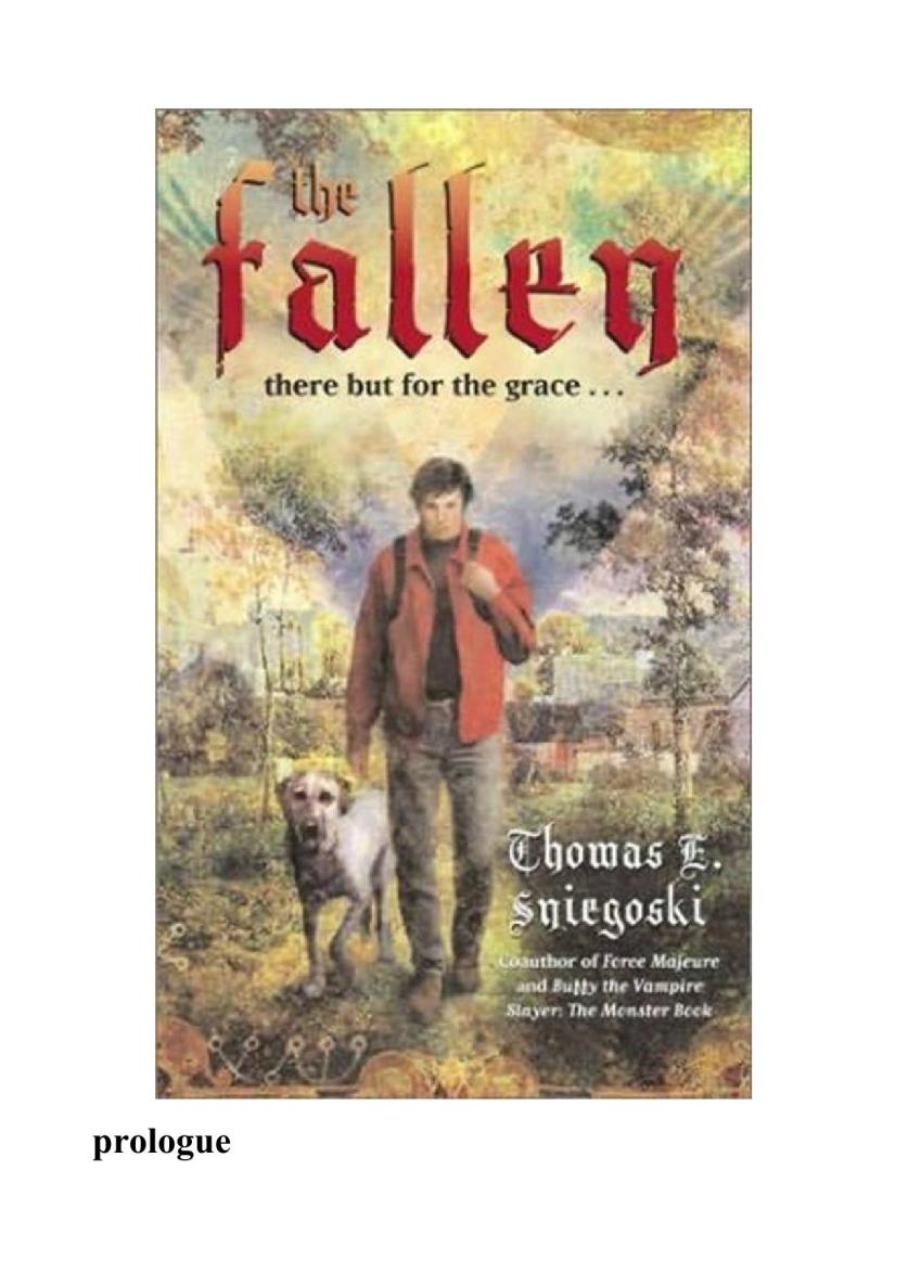 Thomas E. Sniegoski - The Fallen 01